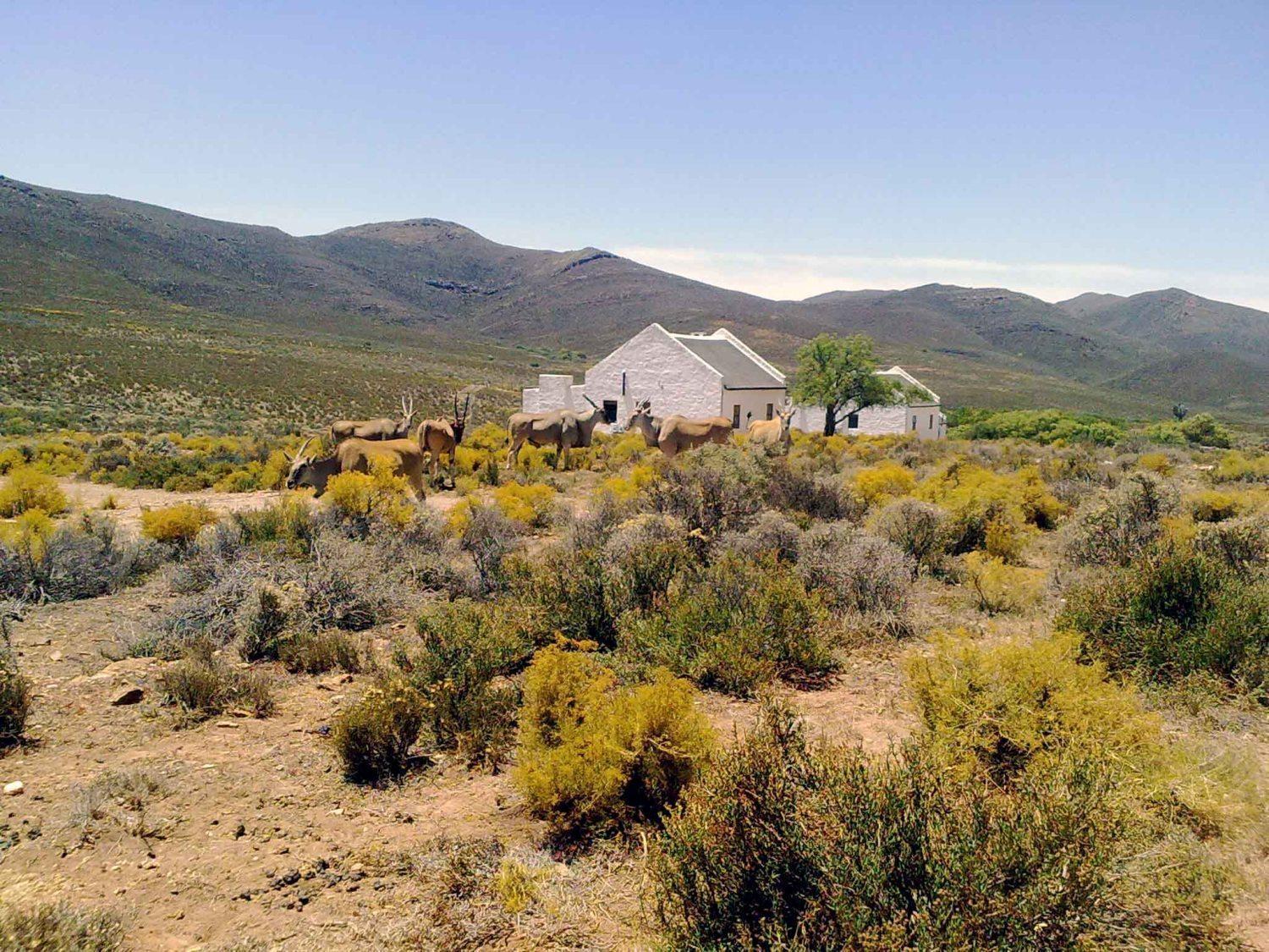 African Game Lodge Montagu Exterior foto